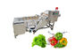 Water Recycle Fruit Plum 0.5Ton / h เครื่องล้างผัก