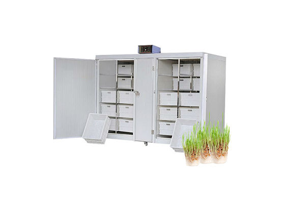 เครื่องงอกเมล็ดเชิงพาณิชย์ 250 กก. / วันเครื่องเพาะเมล็ดถั่วงอกอัตโนมัติ