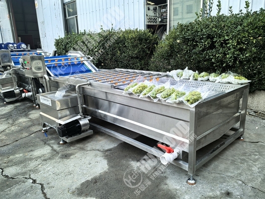 เครื่องซักผักและผลไม้ที่มีขนนกและความดัน 220V