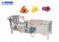 เครื่องล้างผักมะเขือเทศเครื่องล้างผักผักล้างเส้นเครื่องซักผ้าผักอัตโนมัติ