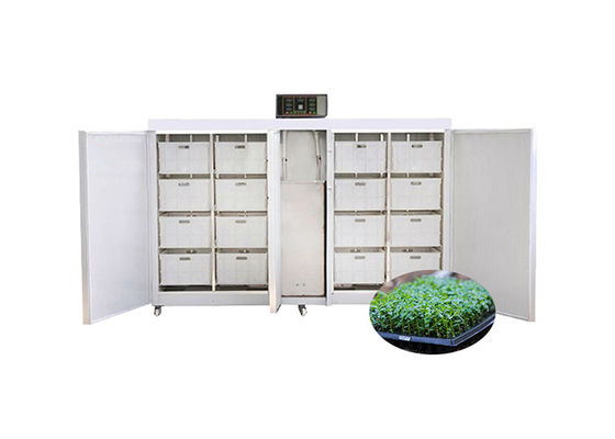 เครื่องงอกเมล็ดเชิงพาณิชย์ 250 กก. / วันเครื่องเพาะเมล็ดถั่วงอกอัตโนมัติ